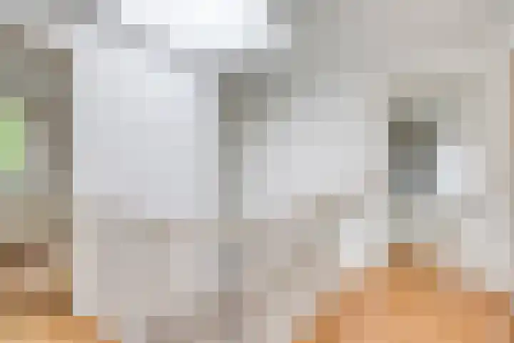 Meierijlaan 20 Nuenen thumbnail 31