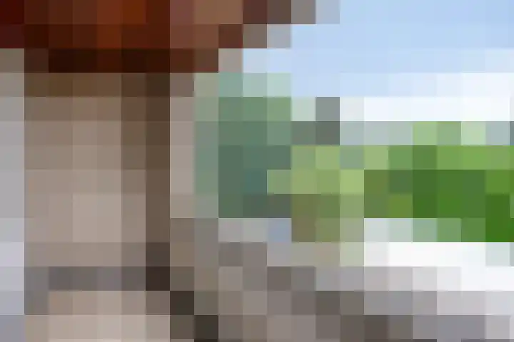 Meierijlaan 20 Nuenen thumbnail 34