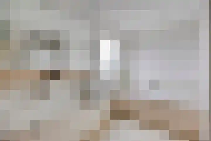 Meierijlaan 20 Nuenen thumbnail 36