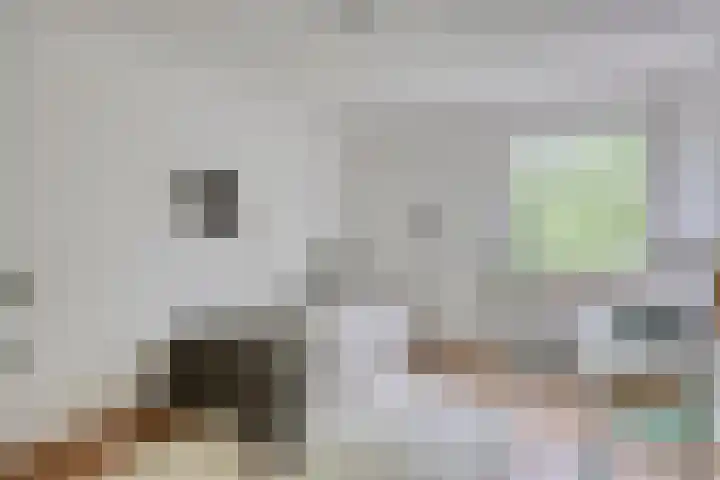 Meierijlaan 20 Nuenen thumbnail 41