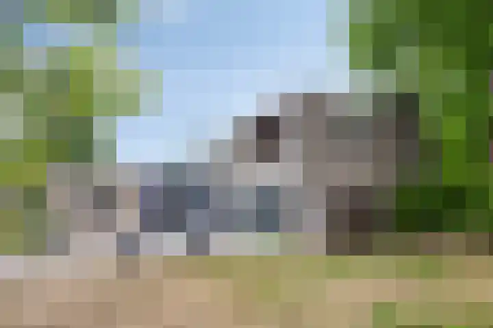 Meierijlaan 20 Nuenen thumbnail 47