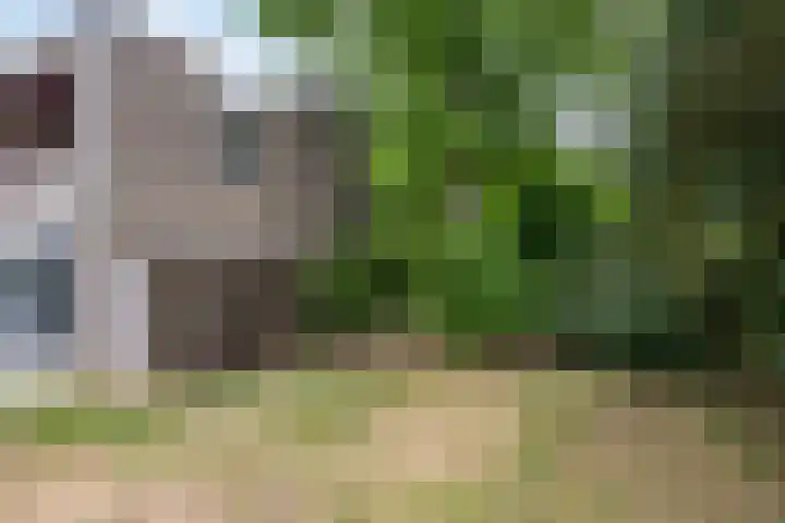 Meierijlaan 20 Nuenen thumbnail 49