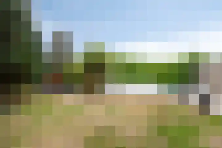 Meierijlaan 20 Nuenen thumbnail 50