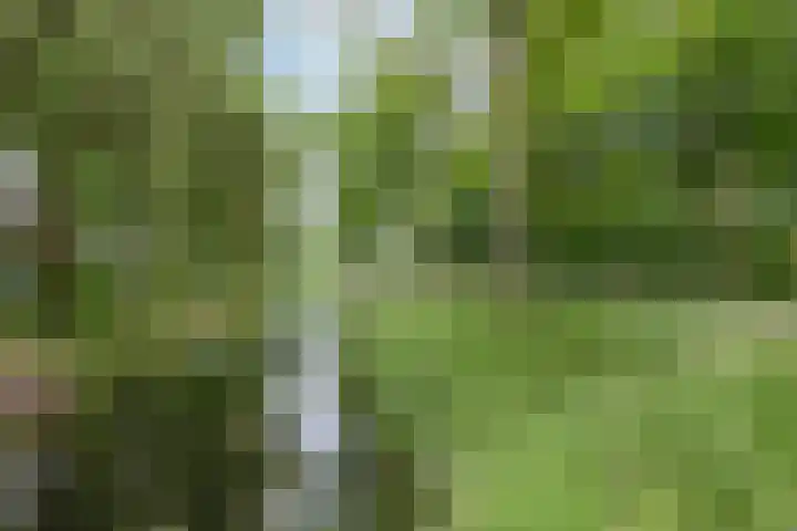 Meierijlaan 20 Nuenen thumbnail 51