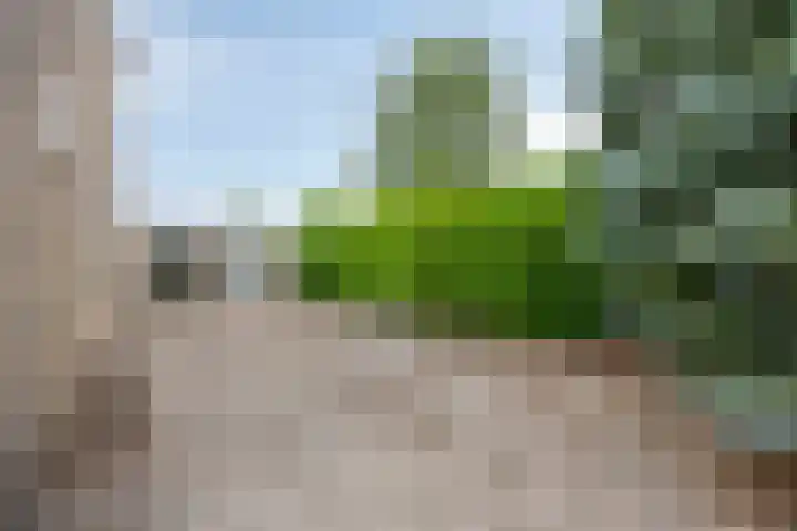 Meierijlaan 20 Nuenen thumbnail 8