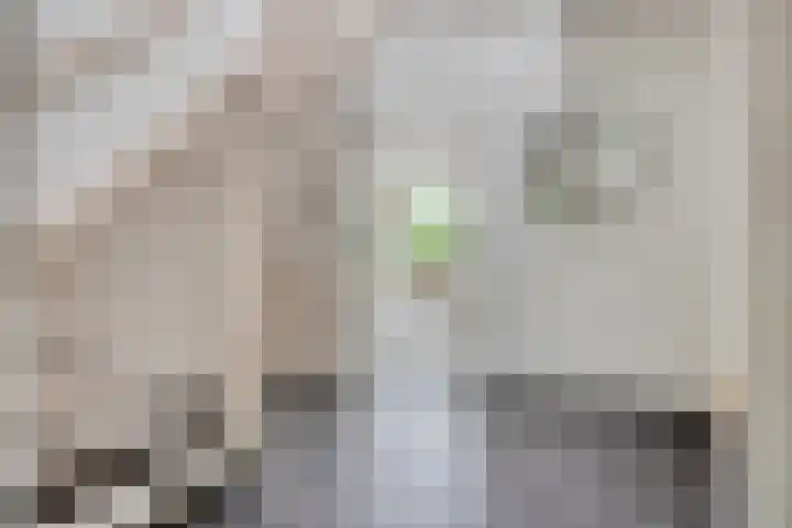 Meierijlaan 20 Nuenen thumbnail 9