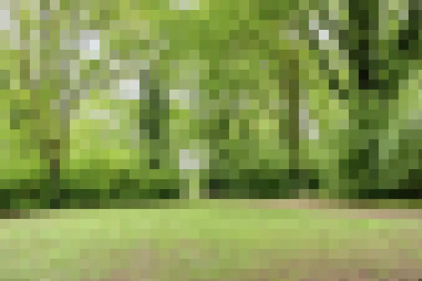 Meierijlaan 32 Eindhoven thumbnail 34