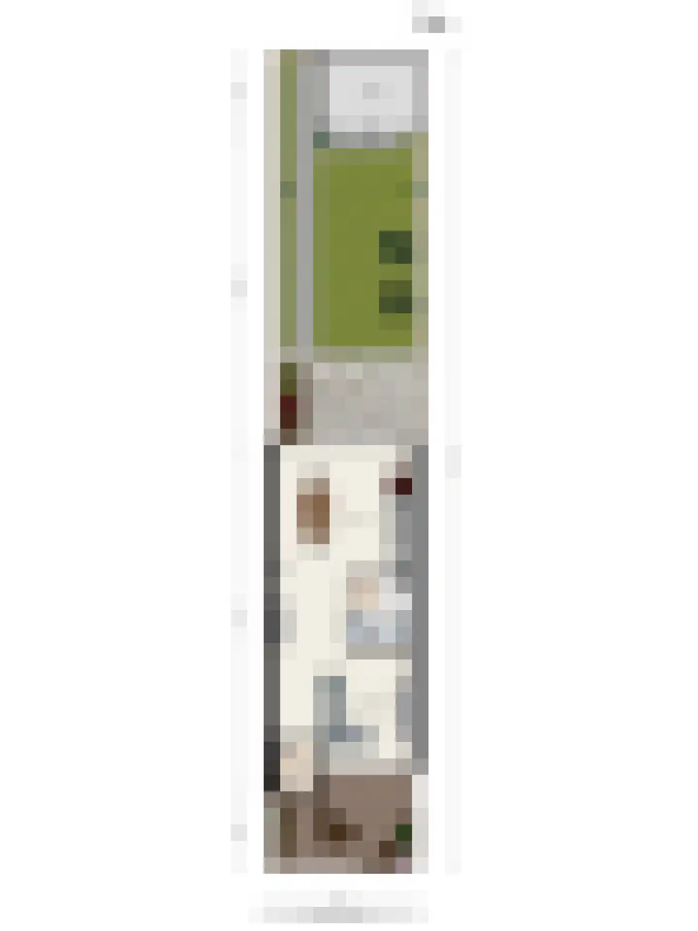Meierijlaan 32 Eindhoven thumbnail 36