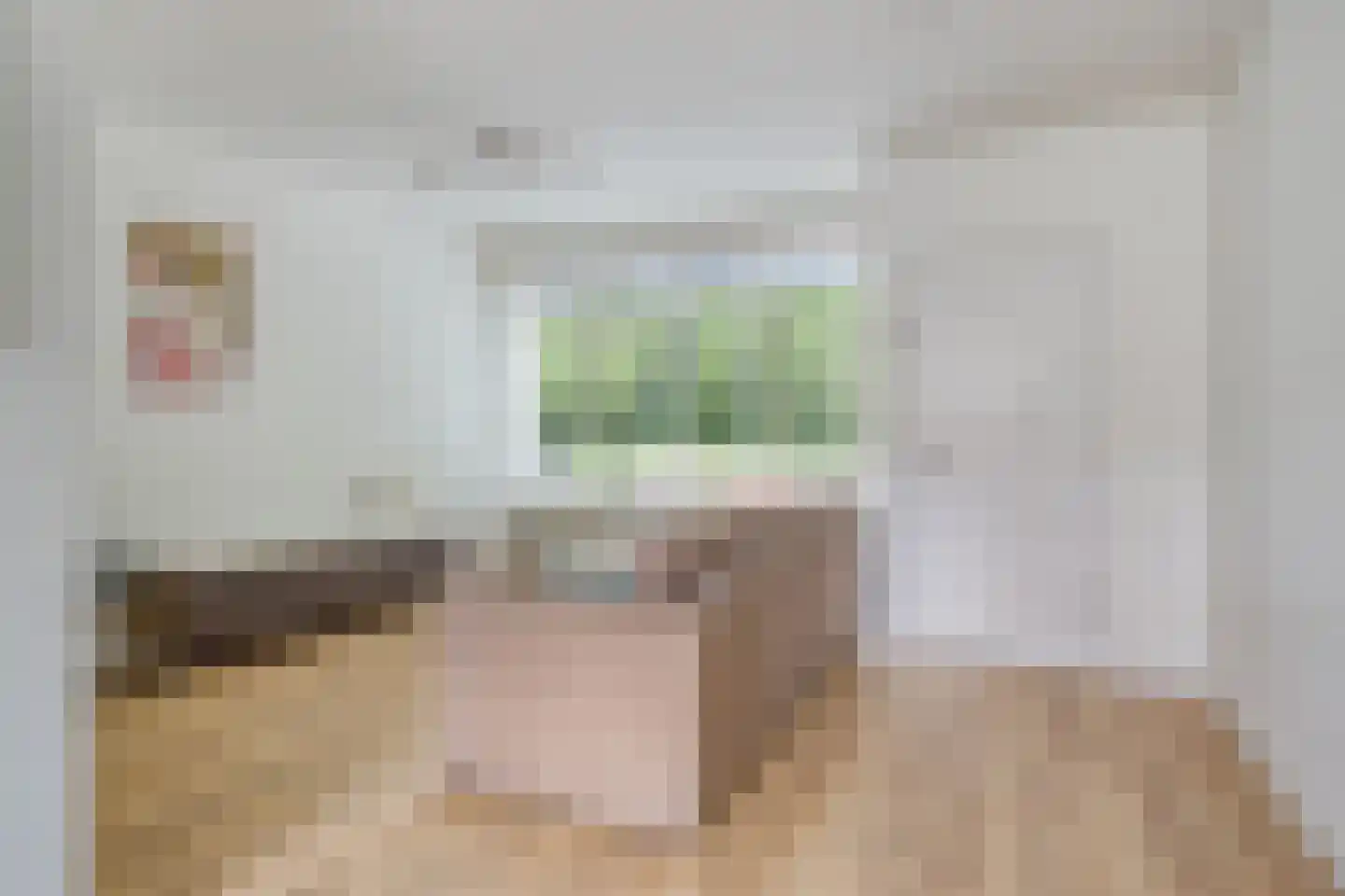 Meierijlaan 32 Eindhoven thumbnail 9