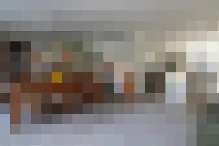 Meierijlaan 38 Den Haag thumbnail 12