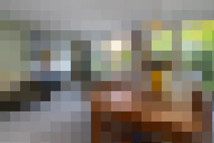 Meierijlaan 38 Den Haag thumbnail 14