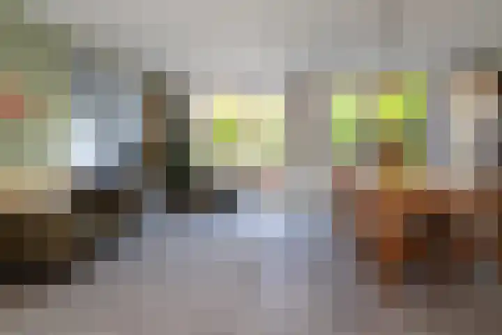 Meierijlaan 38 Den Haag thumbnail 15