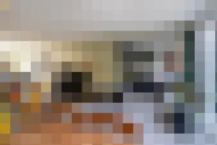 Meierijlaan 38 Den Haag thumbnail 16