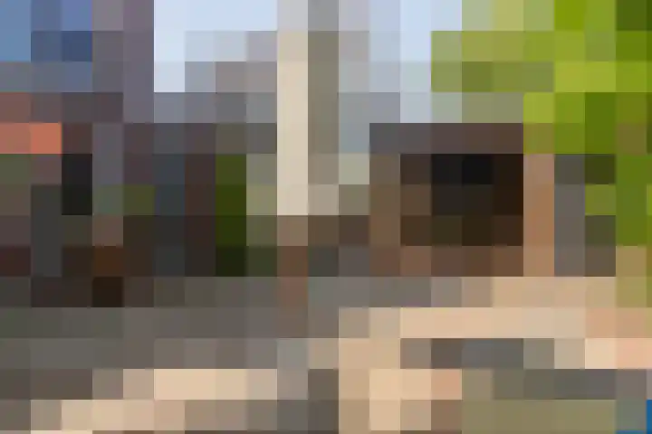 Meierijlaan 38 Den Haag thumbnail 25