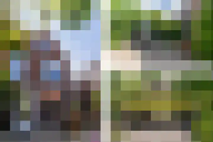 Meierijlaan 38 Den Haag thumbnail 4