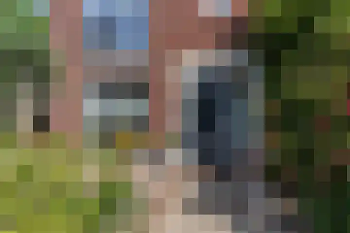 Meierijlaan 38 Den Haag thumbnail 43