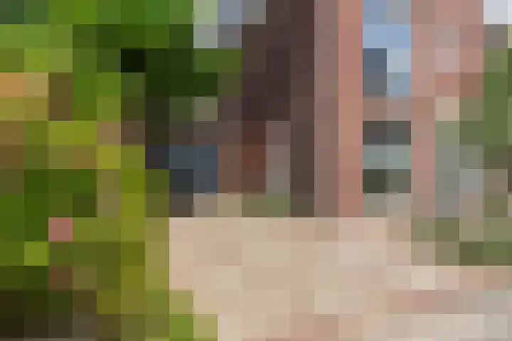 Meierijlaan 38 Den Haag thumbnail 5