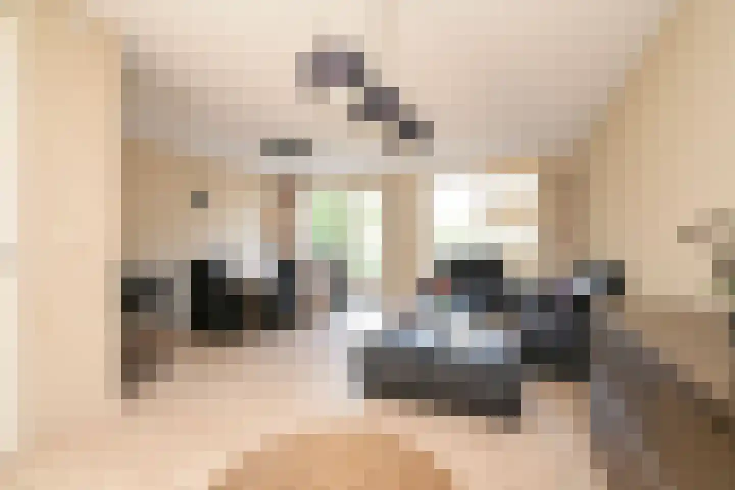 Meierijlaan 48 Den Haag thumbnail 11