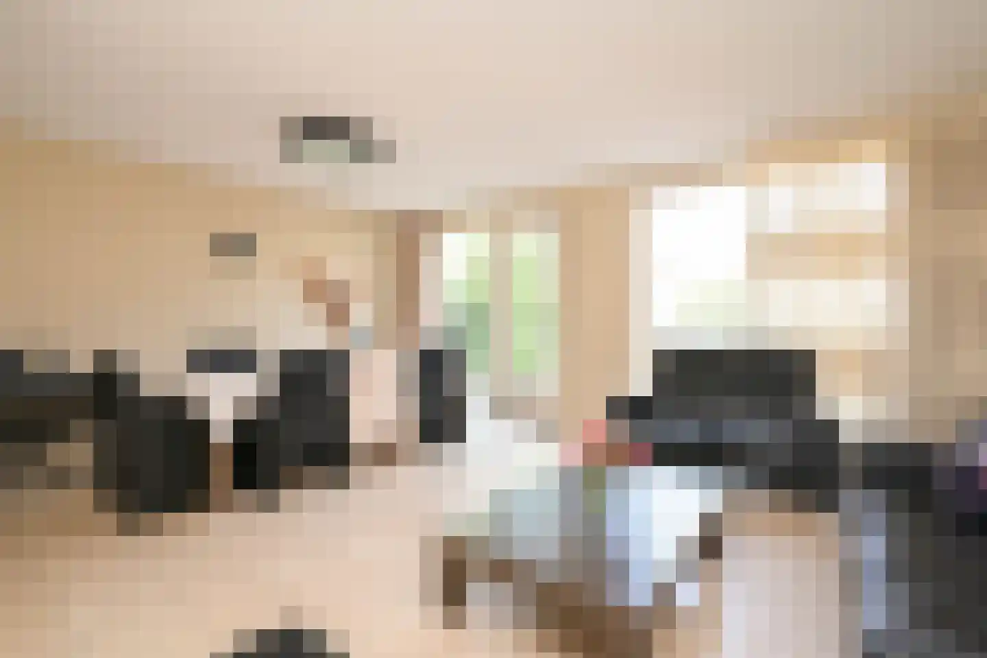 Meierijlaan 48 Den Haag thumbnail 12