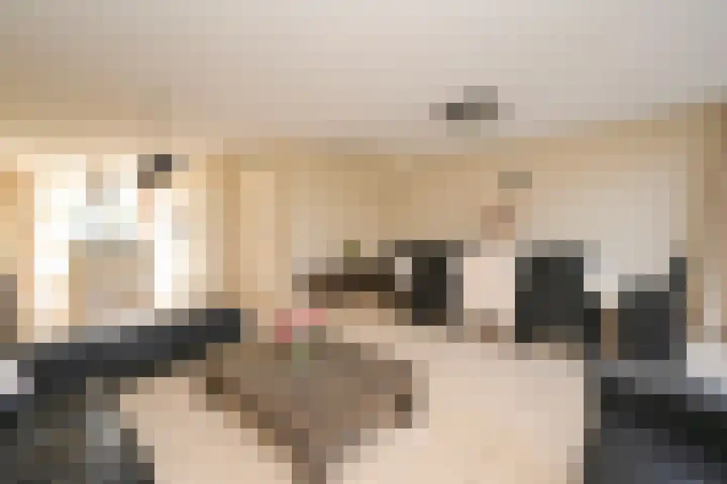 Meierijlaan 48 Den Haag thumbnail 14