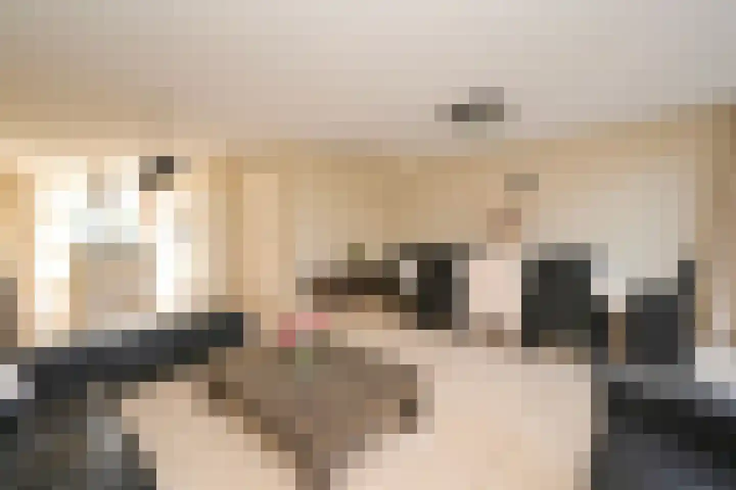 Meierijlaan 48 Den Haag thumbnail 31