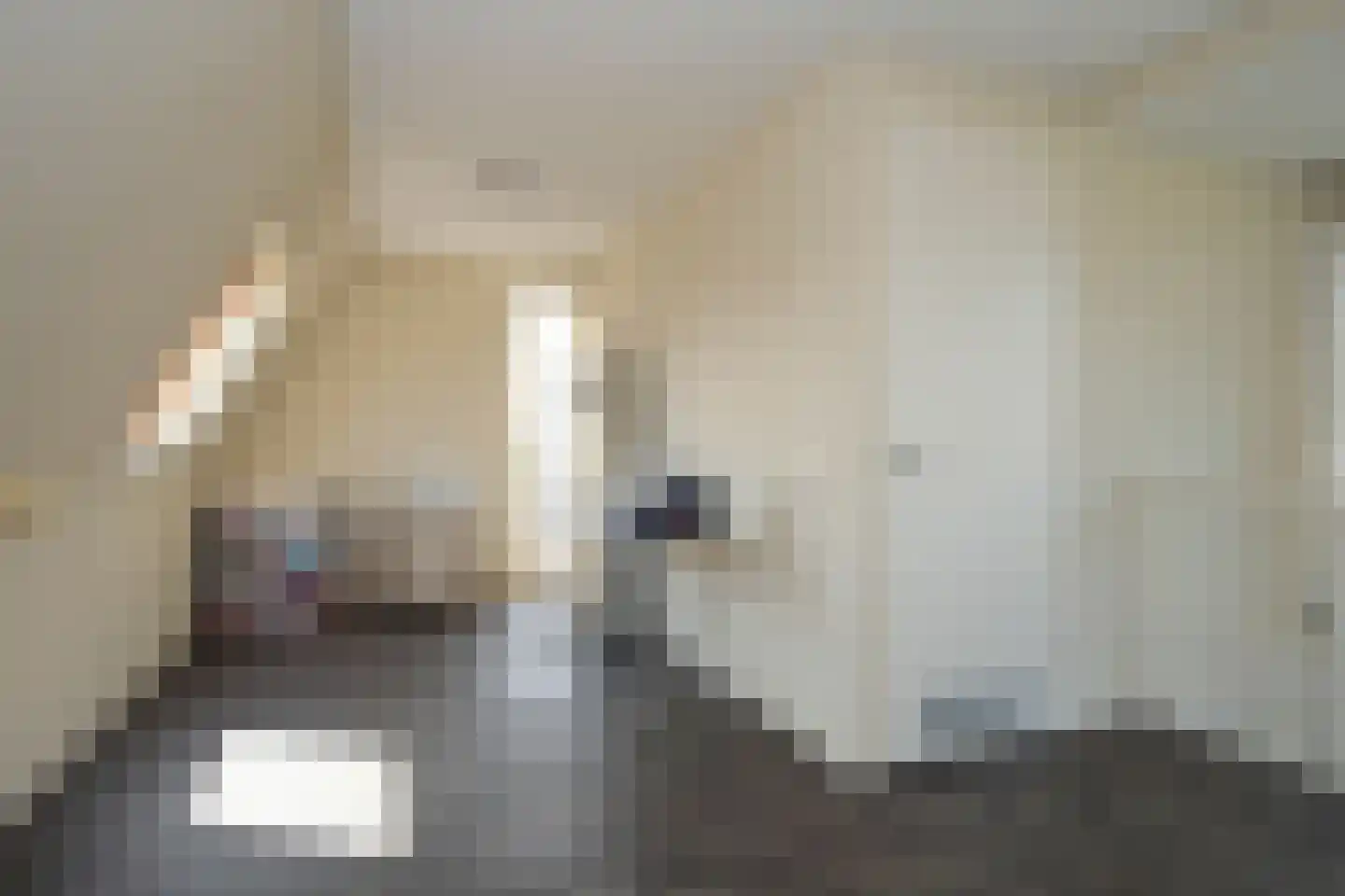 Meierijlaan 48 Den Haag thumbnail 32