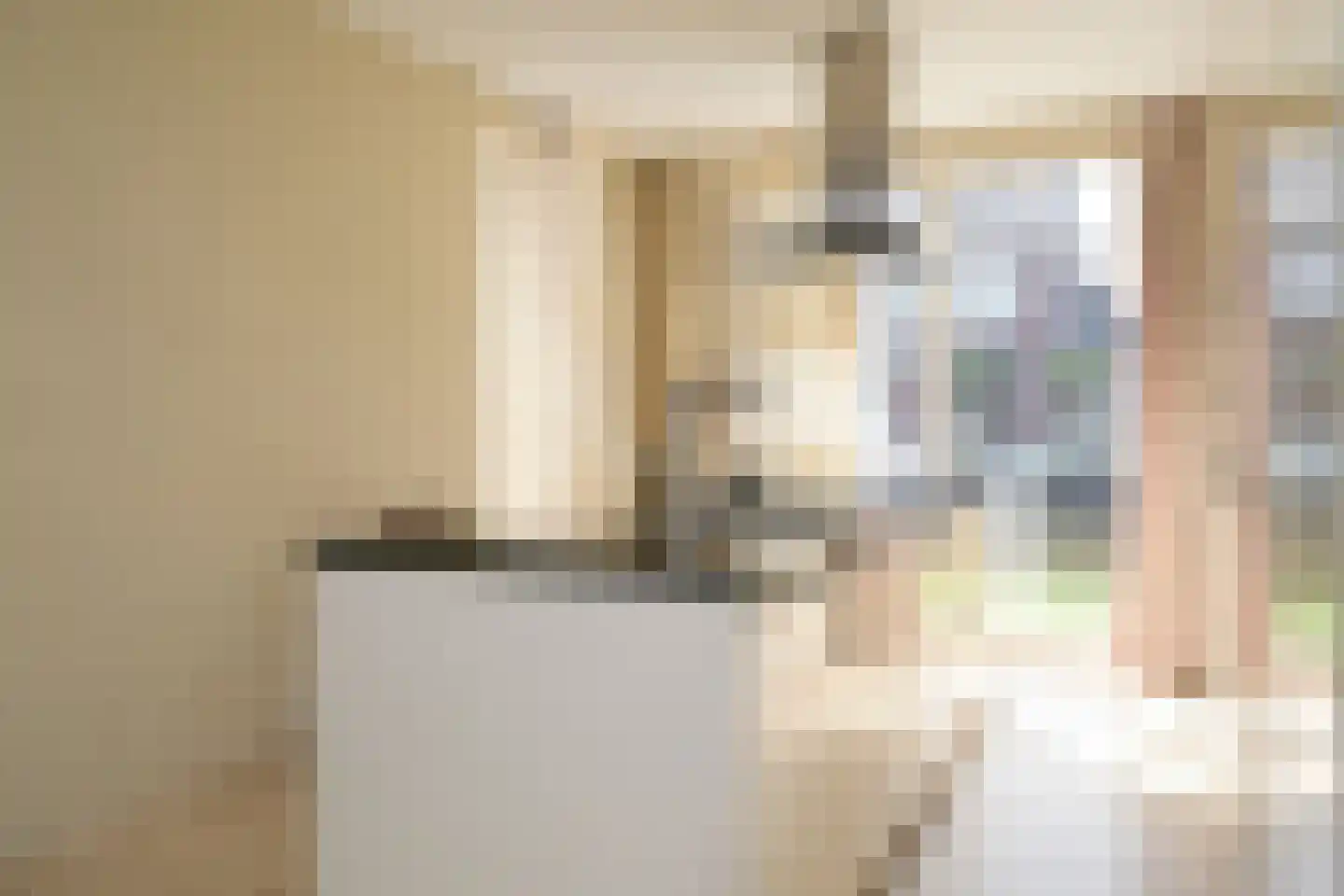 Meierijlaan 48 Den Haag thumbnail 5