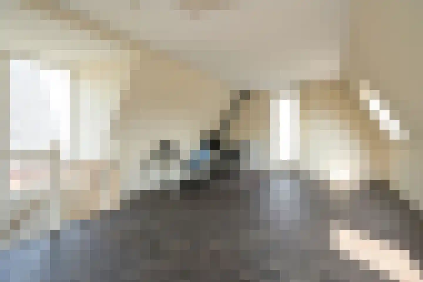 Meierijlaan 48 Den Haag thumbnail 56