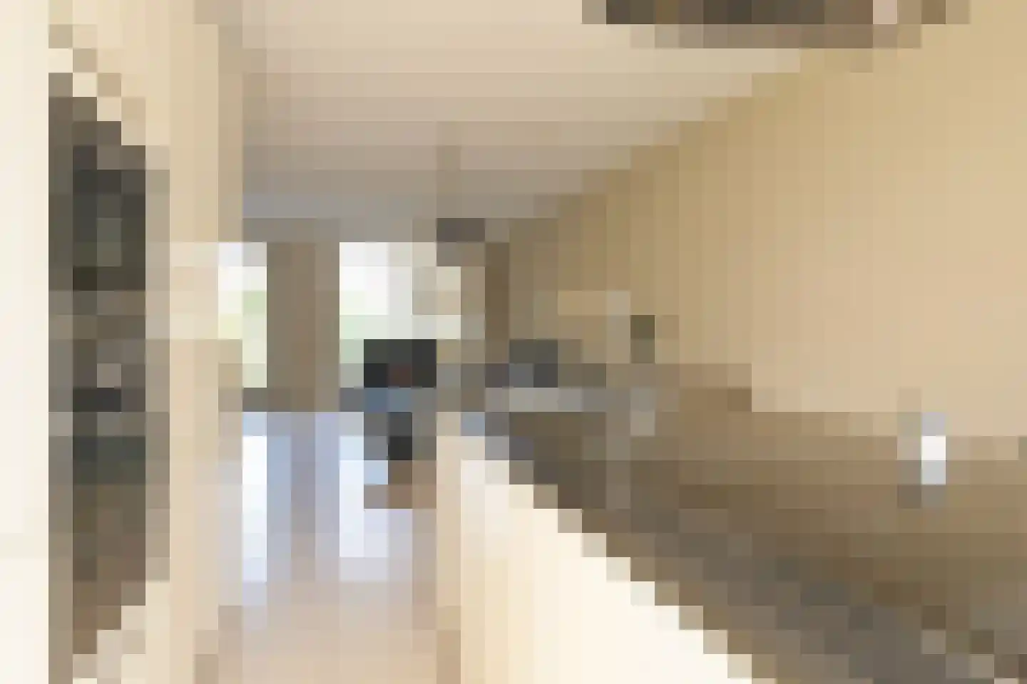 Meierijlaan 48 Den Haag thumbnail 8