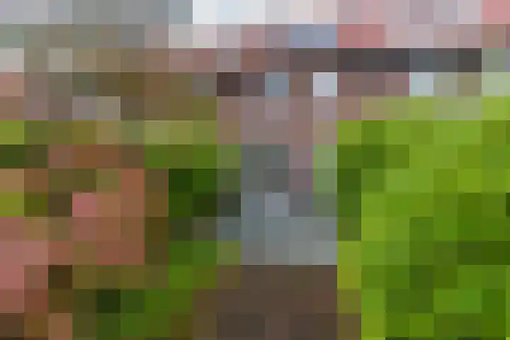 Meierijlaan 49 Den Haag thumbnail 5