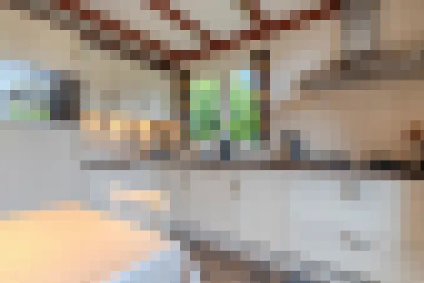 Meierijlaan 49 Kaatsheuvel thumbnail 11