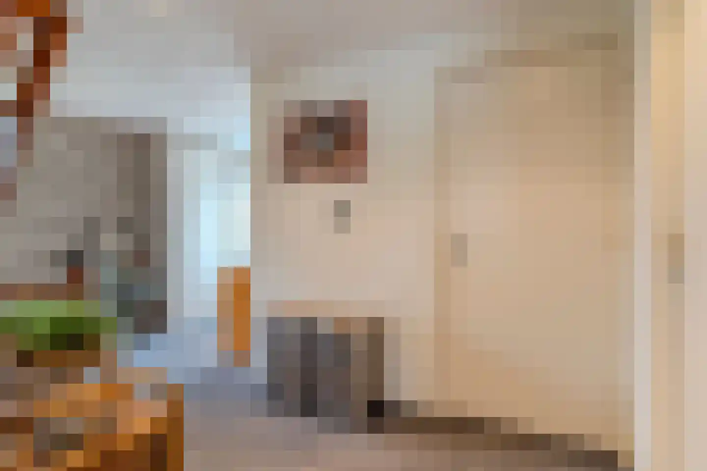 Meierijlaan 49 Kaatsheuvel thumbnail 17