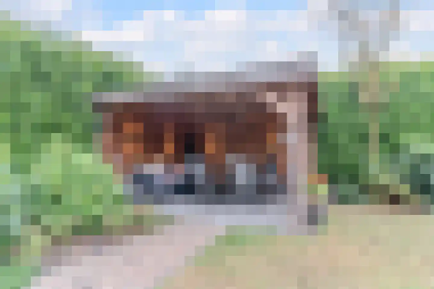 Meierijlaan 49 Kaatsheuvel thumbnail 39