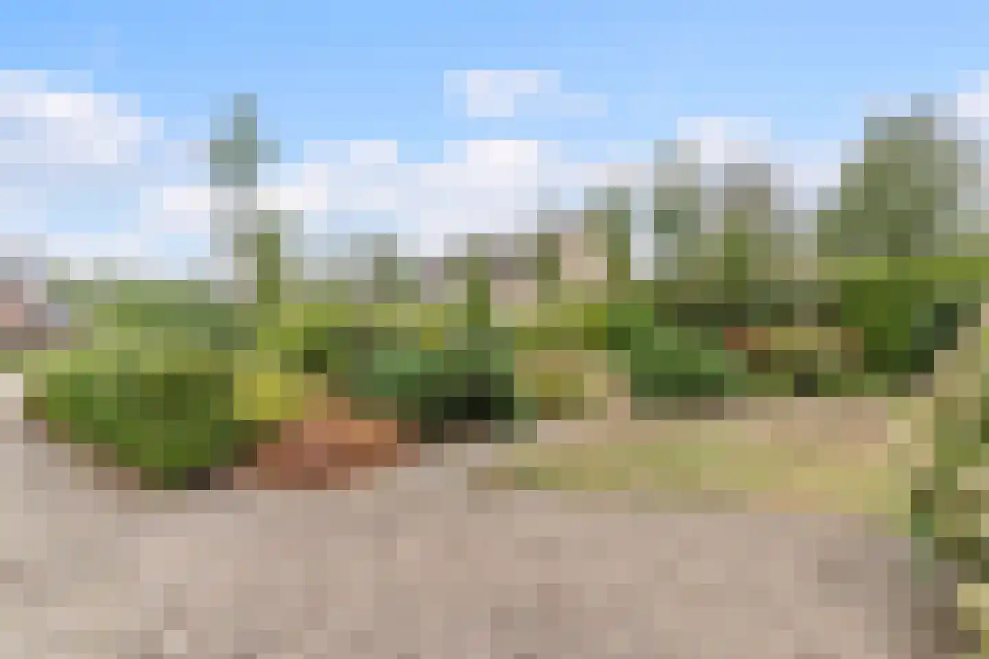 Meierijlaan 49 Kaatsheuvel thumbnail 42