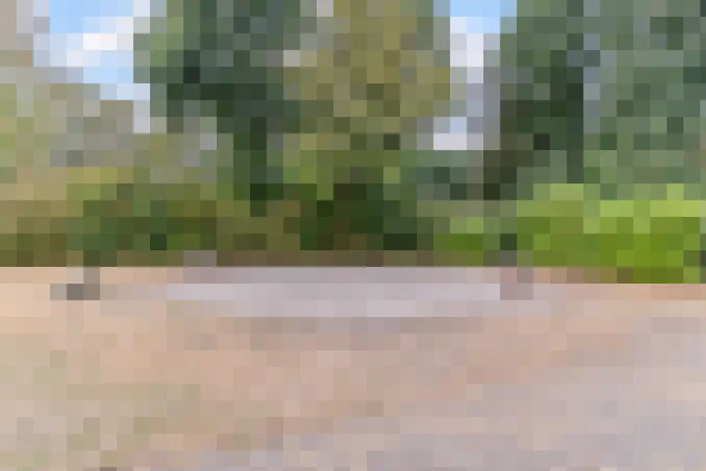 Meierijlaan 49 Kaatsheuvel thumbnail 46