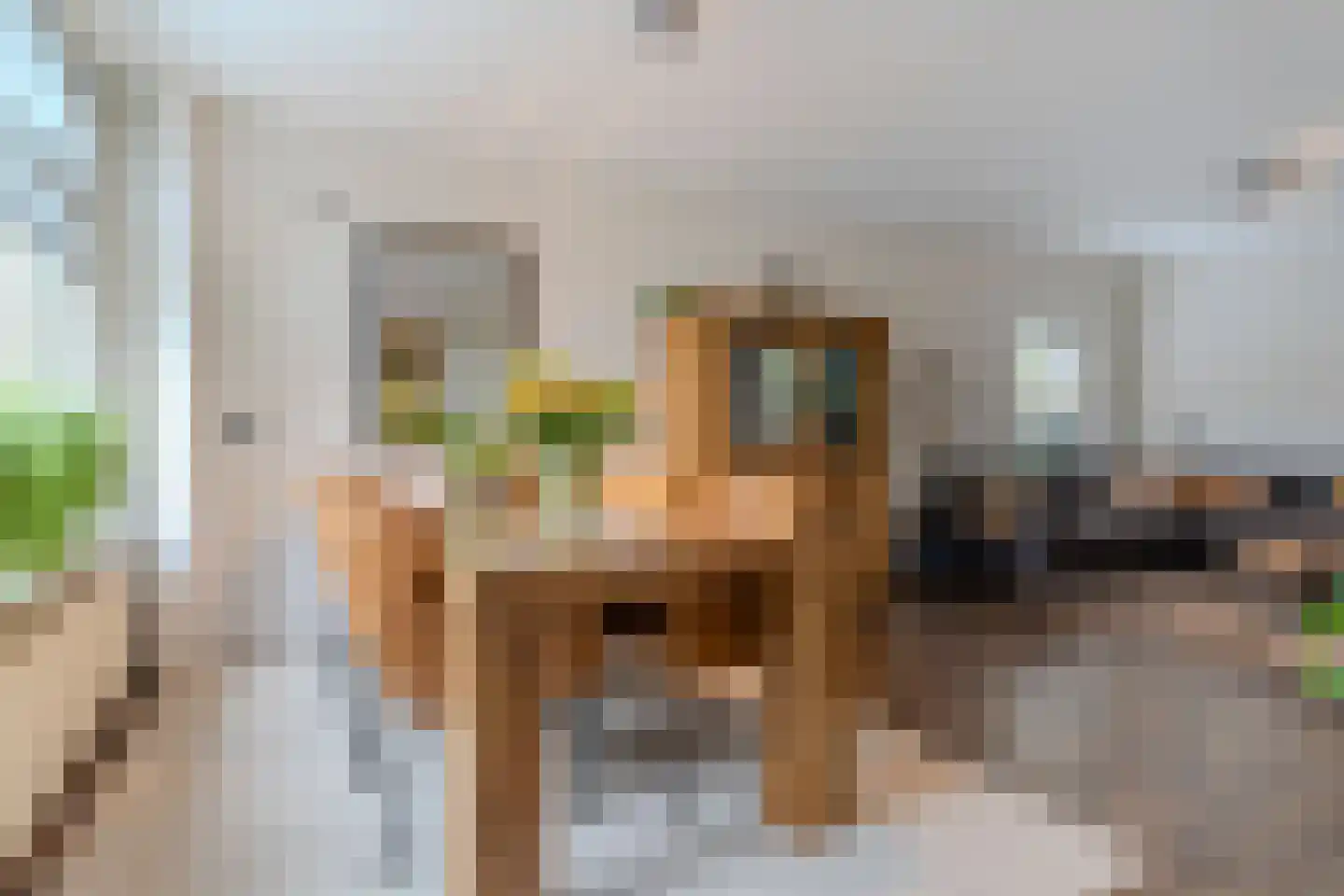 Meierijlaan 49 Kaatsheuvel thumbnail 8