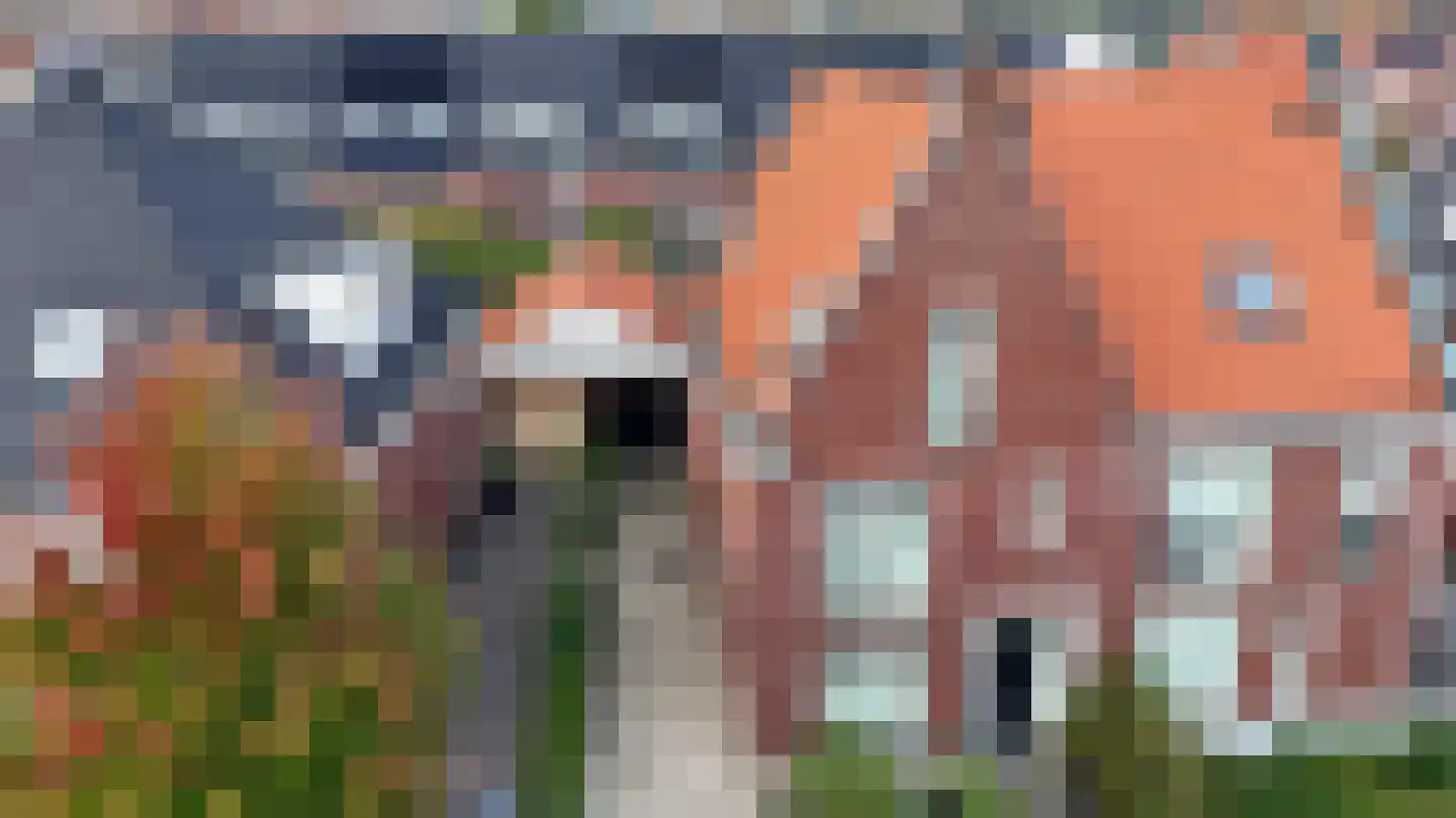 Meierijlaan 54 Den Haag thumbnail 11