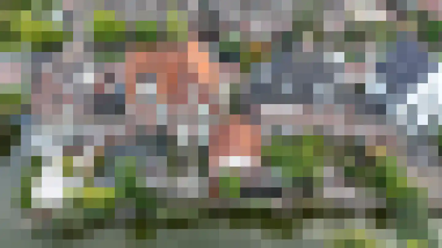 Meierijlaan 54 Den Haag thumbnail 12