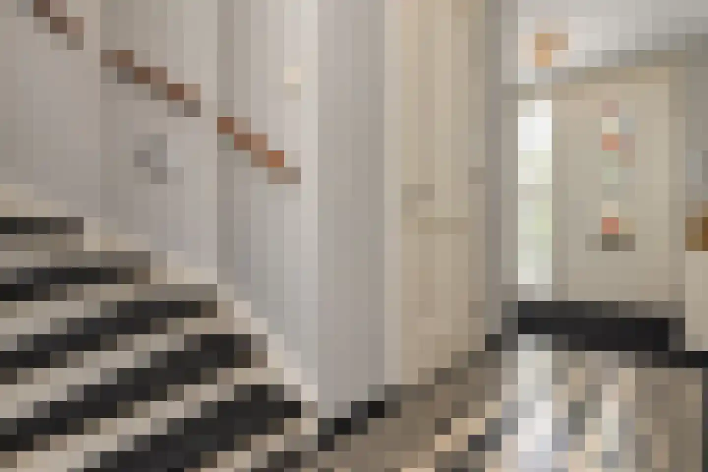 Meierijlaan 54 Den Haag thumbnail 15
