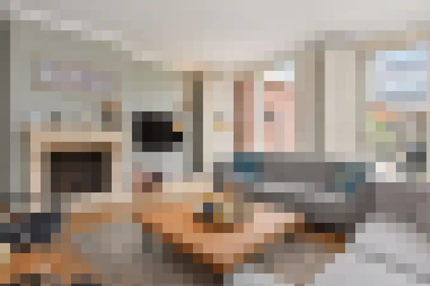 Meierijlaan 54 Den Haag thumbnail 18