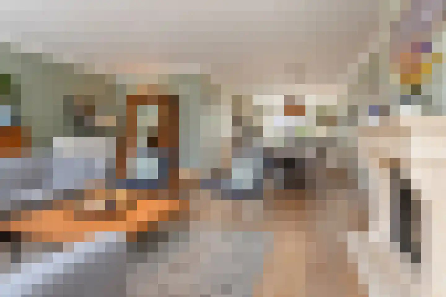 Meierijlaan 54 Den Haag thumbnail 21