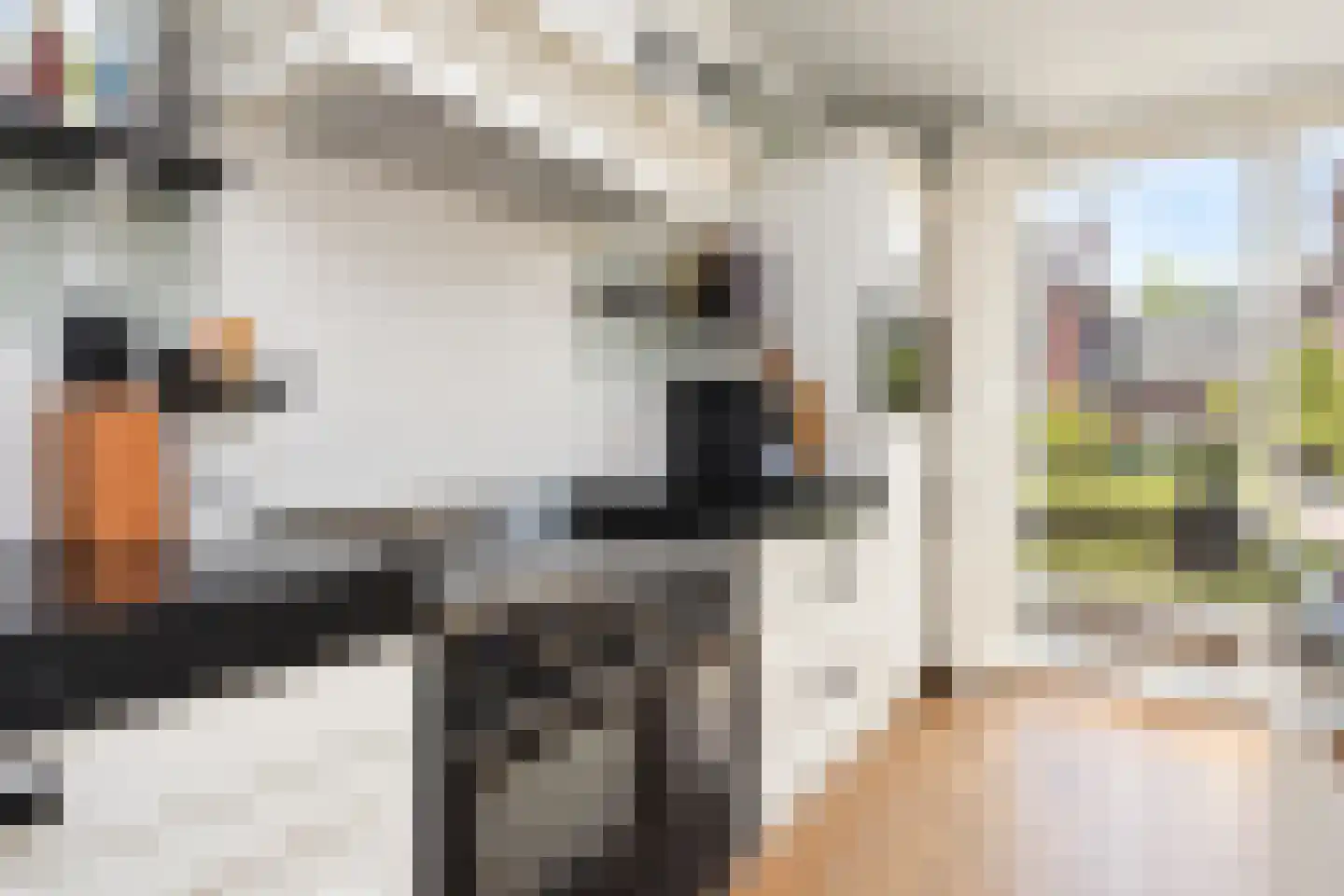 Meierijlaan 54 Den Haag thumbnail 24