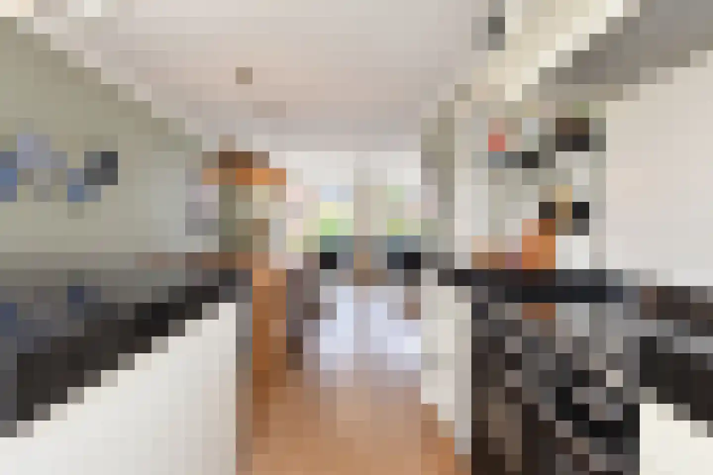 Meierijlaan 54 Den Haag thumbnail 27