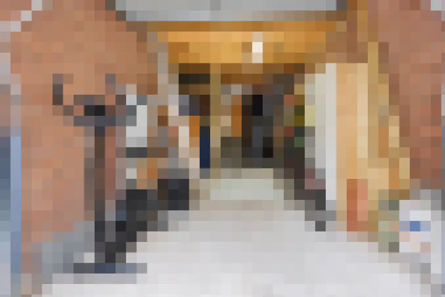 Meierijlaan 54 Den Haag thumbnail 30