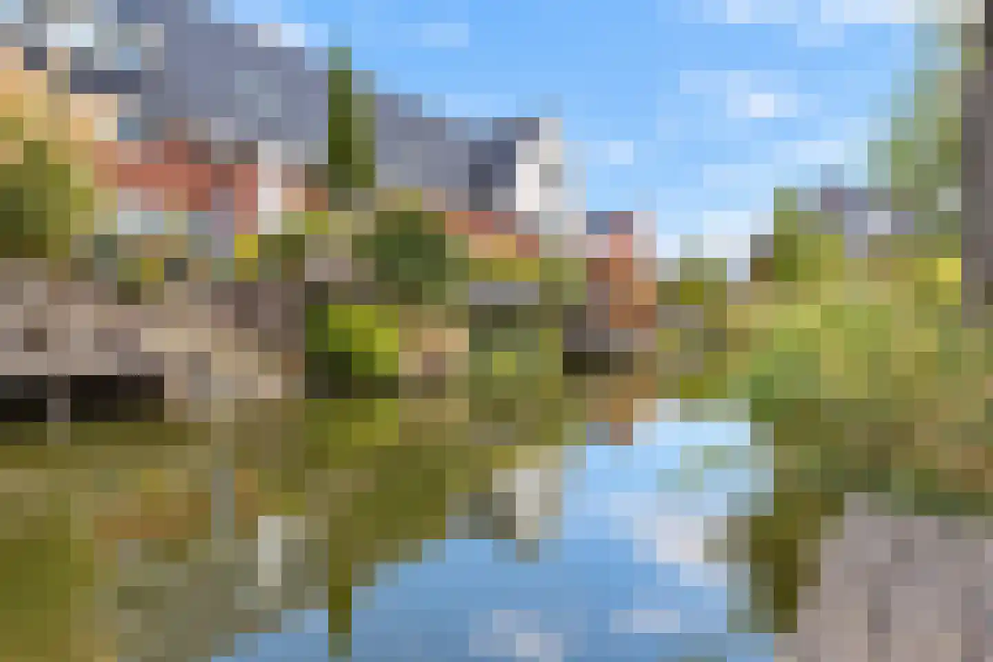 Meierijlaan 54 Den Haag thumbnail 35