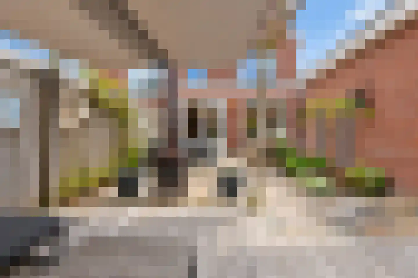 Meierijlaan 54 Den Haag thumbnail 37