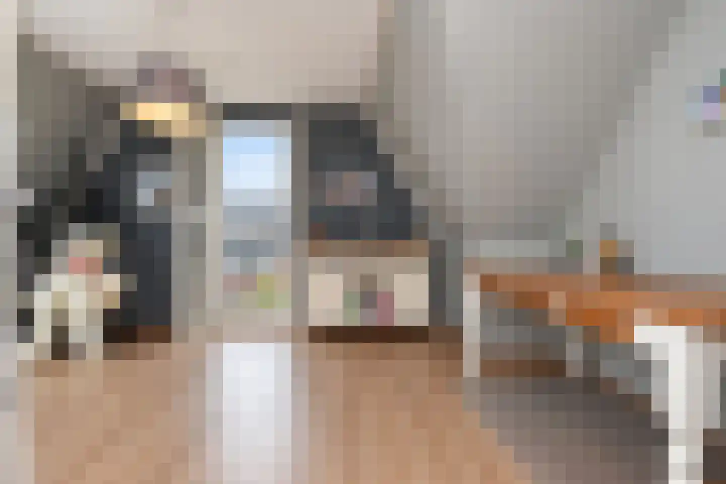 Meierijlaan 54 Den Haag thumbnail 55