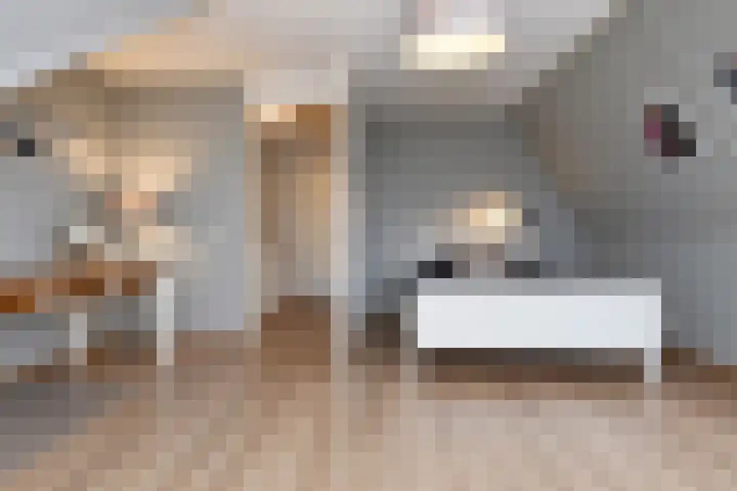 Meierijlaan 54 Den Haag thumbnail 58