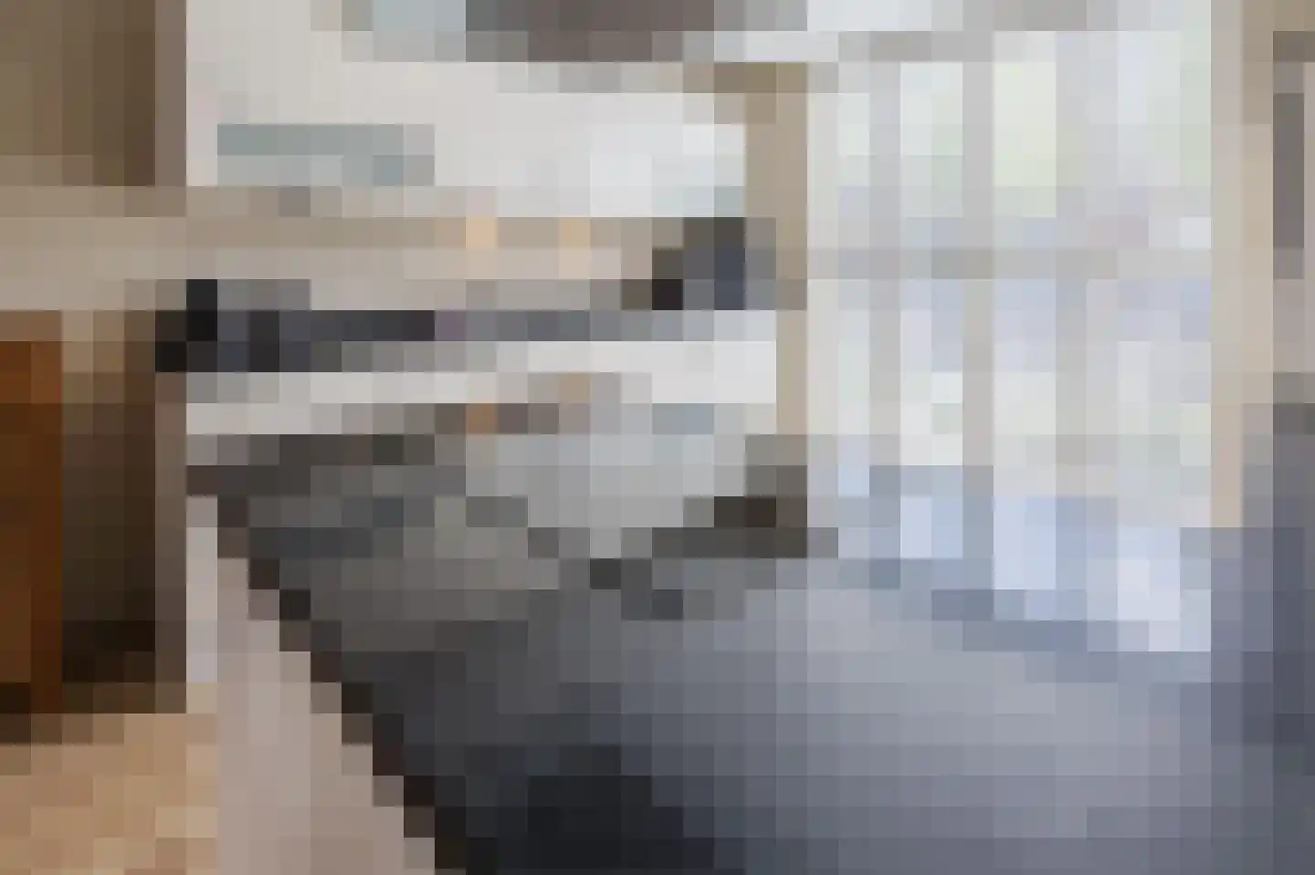 Meierijlaan 56 Den Haag thumbnail 15