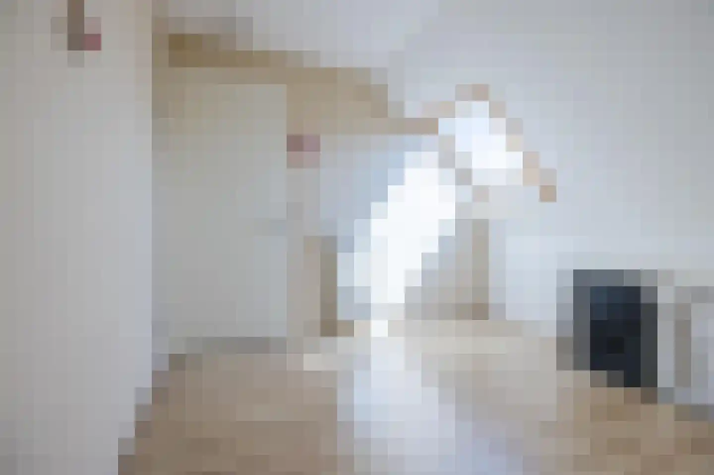 Meierijlaan 56 Den Haag thumbnail 31